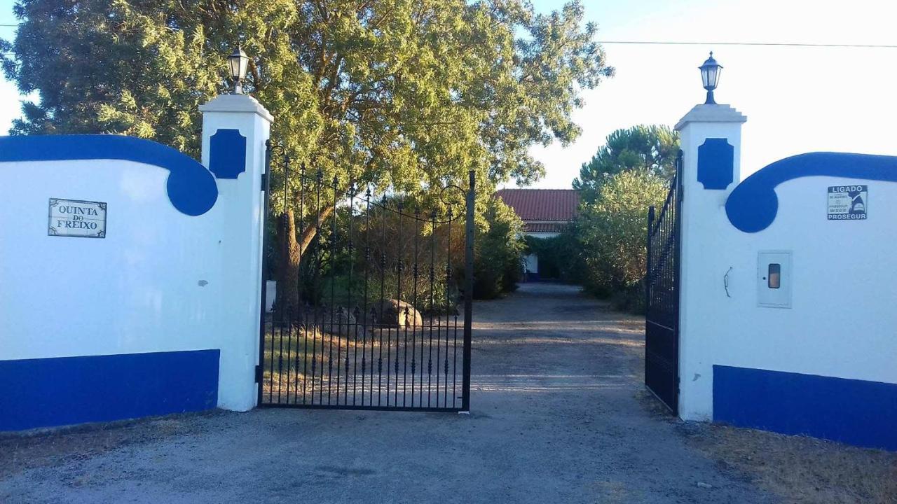 לינה וארוחת בוקר רגואנגוס דה מונסאראז Quinta Do Freixo מראה חיצוני תמונה