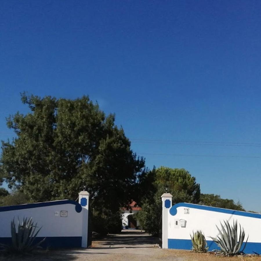 לינה וארוחת בוקר רגואנגוס דה מונסאראז Quinta Do Freixo מראה חיצוני תמונה