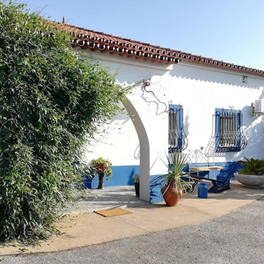 לינה וארוחת בוקר רגואנגוס דה מונסאראז Quinta Do Freixo מראה חיצוני תמונה
